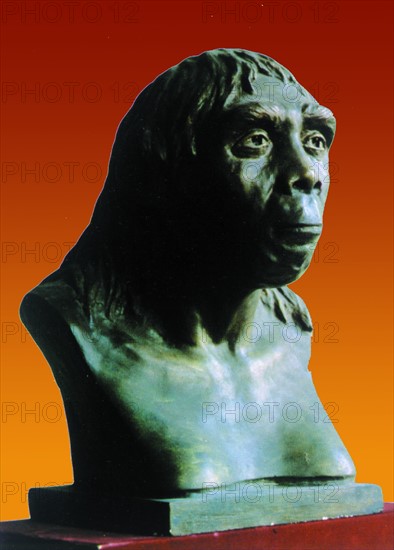 The head scuplture of Peking Man excavated from Zhoukoudian in 1929, Beijing,China