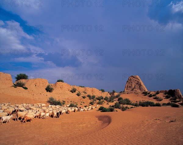 Ruins of Great Wall in Dingbian county,Shanxi,China