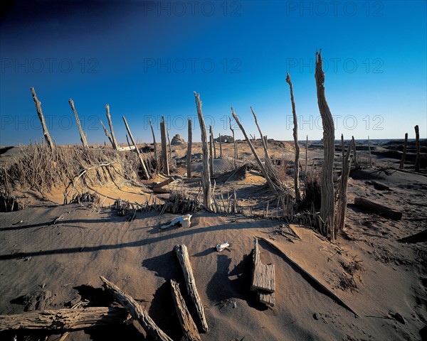 Ruins of Loulan in Lop Nur,Xinjiang,China