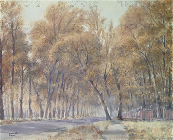 Baquero, Road in Autumn