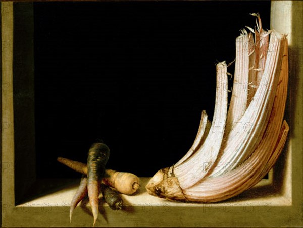 Sanchez Cotan, Nature morte avec chardon et carottes