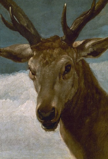 Vélasquez, Tête de cerf