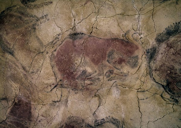 Femelle bison des grottes d'Altamira