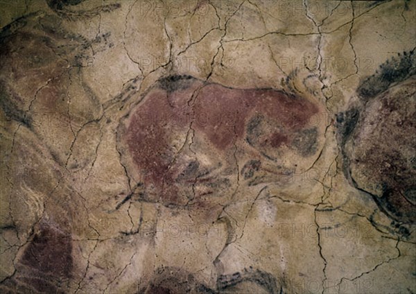 Female buffalo from Altamira caves