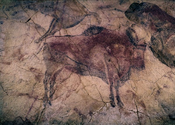 Buffalo, rock painting