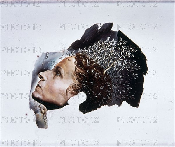 Dali, Gala's Head