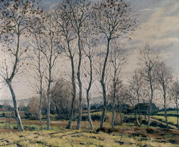 Vila Puig, Winter Landscape