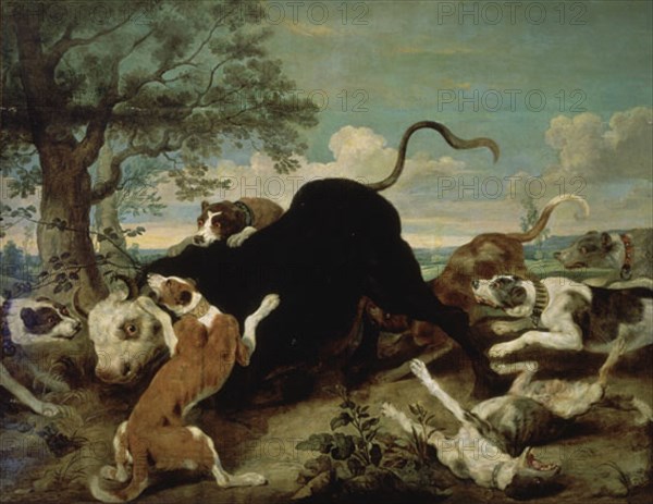 Snayers, Pack of Dogs Attacking a Bull
