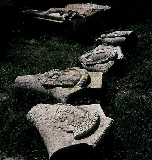 Coats of arms on Pedraza's ground in Spain