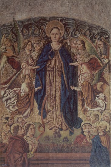 Madonna's Assumption