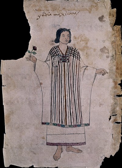 Tudela Codex