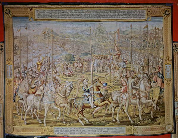 ANONIMO
GUERRA TUNEZ-CARLOS V PASA REVISTA A TROPAS EN BARNA-1535-TAPIZ-TEJIDO EN 1740
SEVILLA, REALES ALCAZARES
SEVILLA
This image is not downloadable. Contact us for the high res.