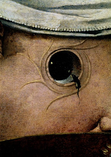 BOSCO EL 1450/1516
VIAJE AL TONDAL - DETALLE DE OJO
Madrid, musée Lazaro Galdiano