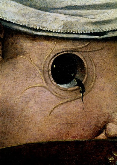 BOSCO EL 1450/1516
VIAJE AL TONDAL - DETALLE DE OJO
Madrid, musée Lazaro Galdiano