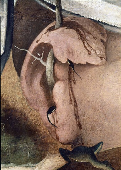 BOSCO EL 1450/1516
VIAJE AL TONDAL - DETALLE DE OREJA
Madrid, musée Lazaro Galdiano