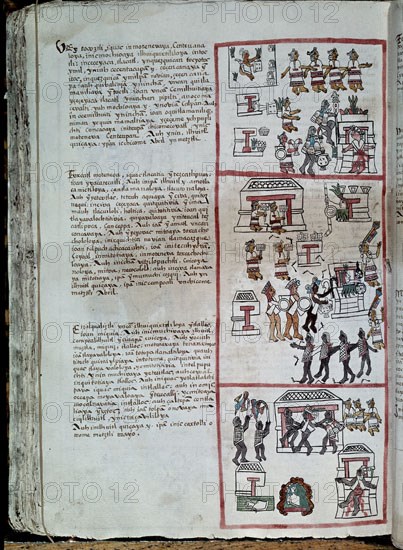SAHAGUN BERNARDINO DE 1499-1590
HISTORIA DE LA NUEVA ESPANA F 254
MADRID, PALACIO REAL-BIBLIOTECA
MADRID
This image is not downloadable. Contact us for the high res.