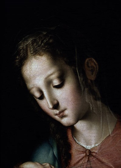 Morales, The Virgin and the Child - Detail from the Virgin's Head