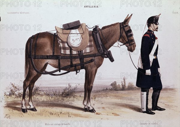 F.R.
CONDUCTOR DE ARTILLERTIA DE MARCHA
MADRID, ARCHIVO HISTORICO MILITAR
MADRID
This image is not downloadable. Contact us for the high res.