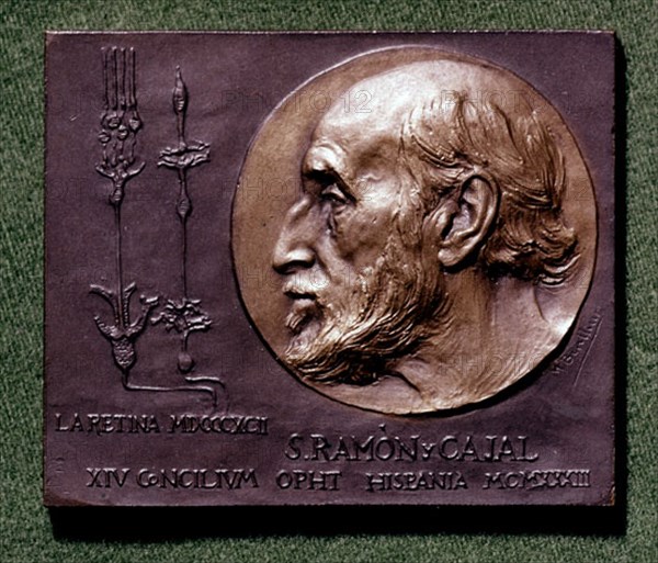 MEDALLA RAMON Y CAJAL
MADRID, COLECCION MARQUES DE LOZOYA
MADRID