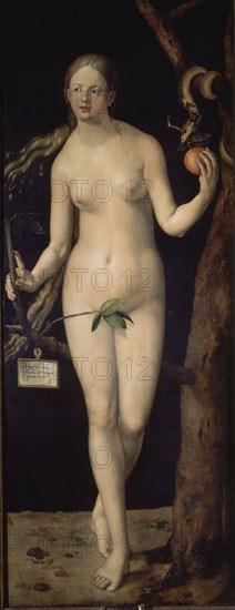 Dürer, Eve