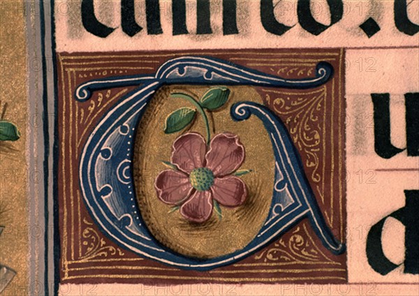 MISAL CAR CISNEROS LETRA G
MADRID, BIBLIOTECA NACIONAL
MADRID
This image is not downloadable. Contact us for the high res.
