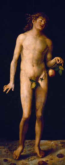 Dürer, Adam