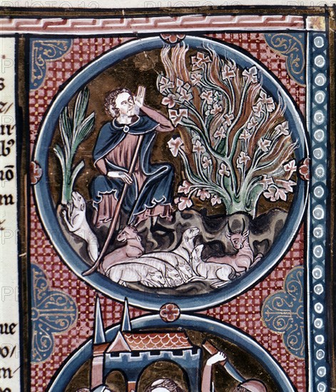 BIBLIA DE S LUIS- TOMO I- PAG 34- MOISES OYE LA ZARZA-S XIII-
TOLEDO, CATEDRAL BIBLIOTECA
TOLEDO