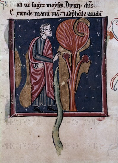 BIBLIA S XIII- TOMO I- MOISES Y LA ZARZA-EXODO-ANTIGUO TESTAMENTO-MINIATURA GOTICA
MADRID, ACADEMIA DE HISTORIA
MADRID