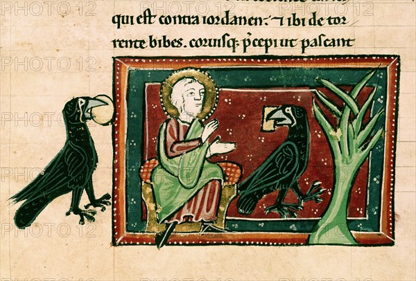 Bible du 13e siècle: Elie et les corbeaux près du torrent de Kérit