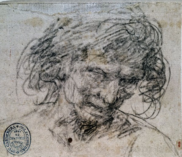 Velázquez, Drawing of a face