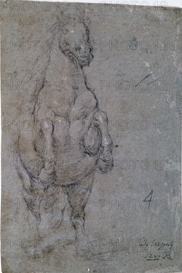 Velázquez, Drawing of a reared up horse