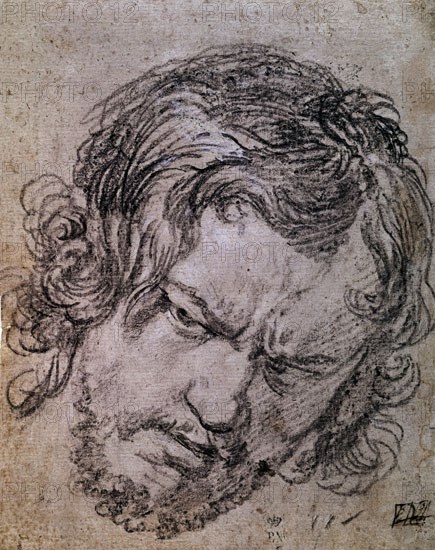Velázquez, Drawing of a man's face