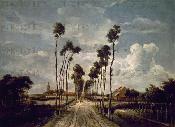 Hobbema, L'Allée de Middelharnis