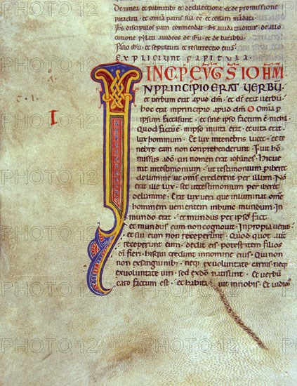 Biblia de Avilia, Codex