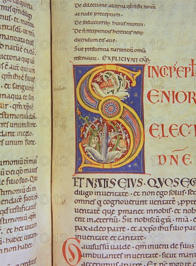 Biblia de Avilia, Codex