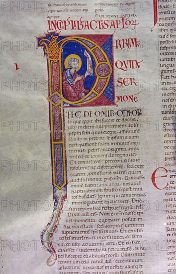 Biblia de Avilia, Codex