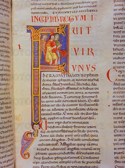 Biblia de Avilia, Codex