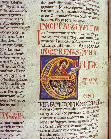 Biblia de Avilia, Codex