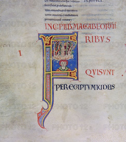 Biblia de Avilia, Codex