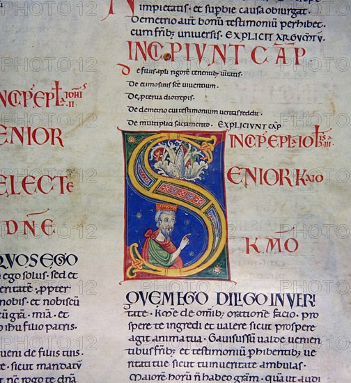 Biblia de Avilia, Codex