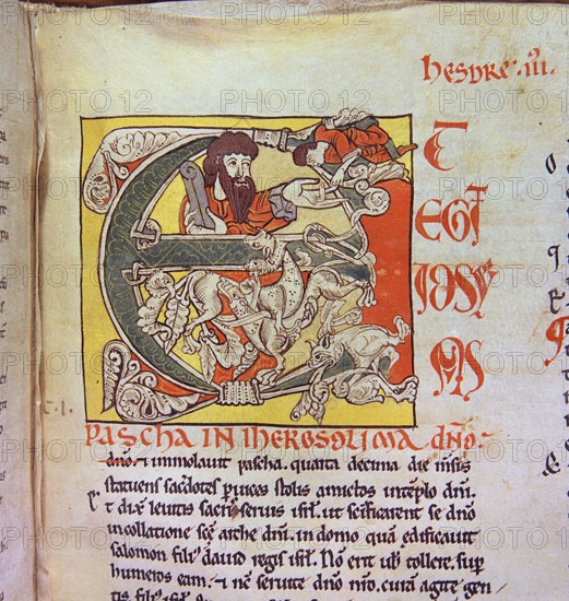 Biblia de Avilia, Codex