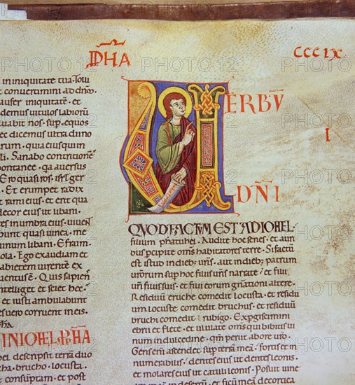 Biblia de Avilia, Codex