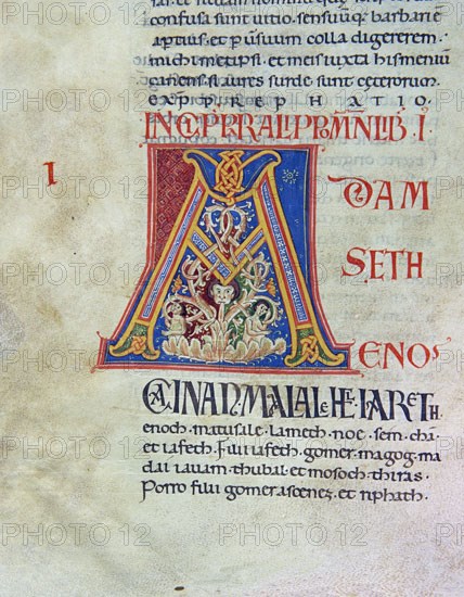 Biblia de Avilia, Codex