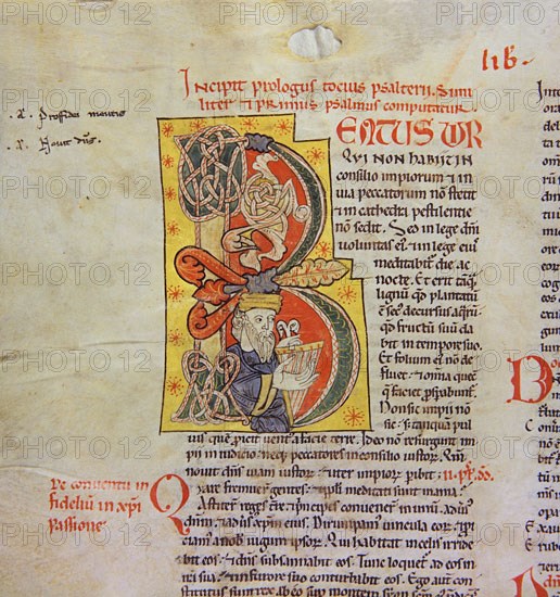 Biblia de Avilia, Codex