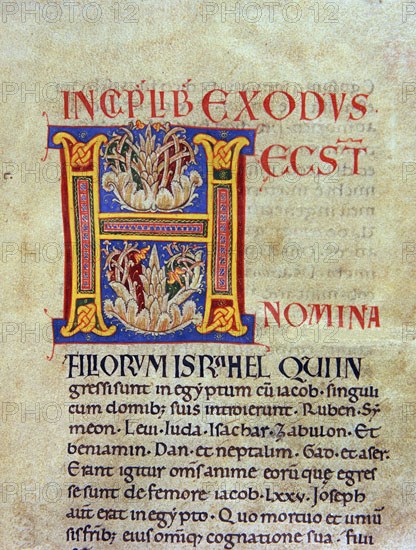 Biblia de Avilia, Codex