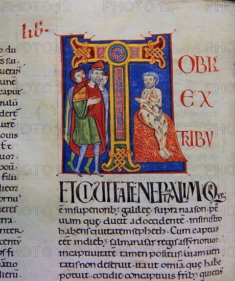 Biblia de Avilia, Codex