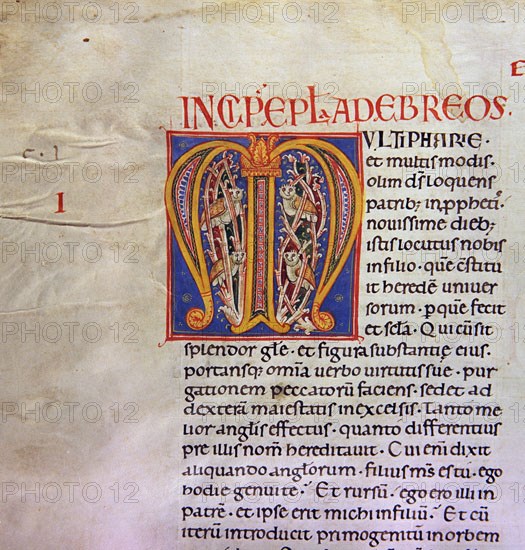 Biblia de Avilia, Codex