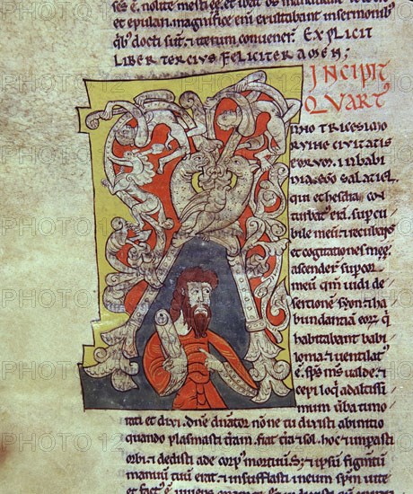 Biblia de Avilia, Codex