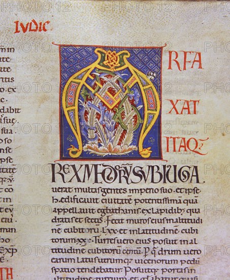 Biblia de Avilia, Codex