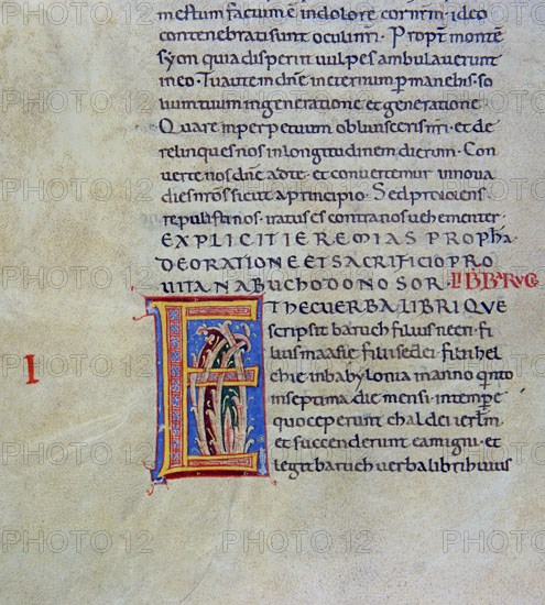 Biblia de Avilia, Codex